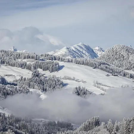 Colorgram Loft - Alpenluxus Collection Daire