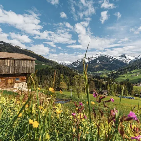 Colorgram Loft - Alpenluxus Collection