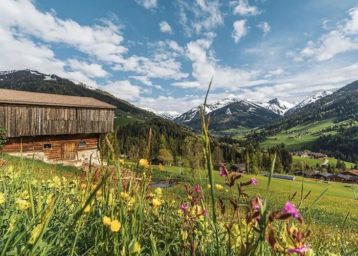 Colorgram Loft - Alpenluxus Collection